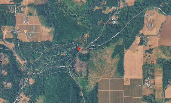 Neighbors contest Magness Memorial Tree Farm auction